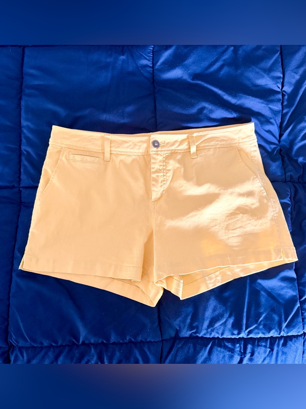 Market & Spruce Pastel Yellow Tailored Shorts